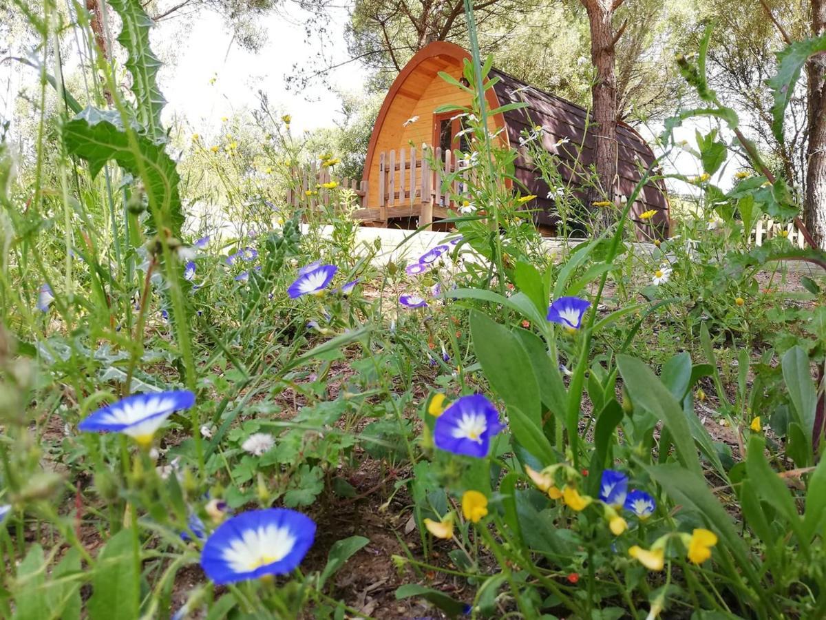 Glamping Sintra Hotel Ngoại thất bức ảnh